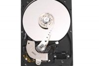 ausgezeichnete western digital caviar se wd800jd 889 cm 35 zoll festplatte 80gb sata 7200 rpm bild