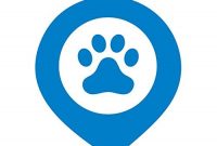 erstaunlich tractive gps gerat hunde gps tracker mit app die leichte und wasserdichte hund gps halsband erweiterung foto