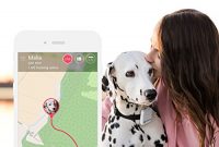 fabelhafte tractive gps gerat hunde gps tracker mit app die leichte und wasserdichte hund gps halsband erweiterung foto