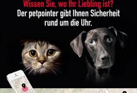grossen petpointer ersatz akku petpointer gps tracker fur hunde und katzen made in switzerland tracking ortung orten bild
