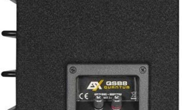 am besten esx qsb8 quantum qsb 20cm subwoofer im kompakten bassreflexgehause bild