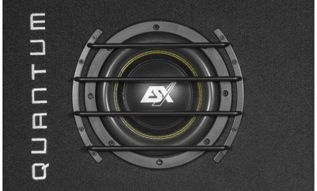 ausgezeichnete esx qsb8 quantum qsb 20cm subwoofer im kompakten bassreflexgehause foto