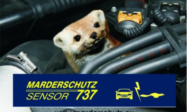 awesome hjh sensor 737 marderschutz bild