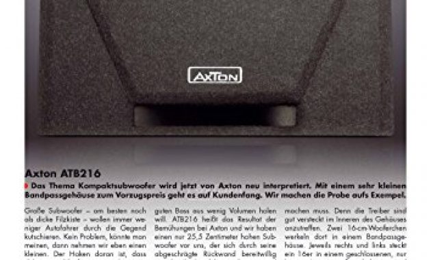 fantastische axton atb216 kraftvoller bandpass subwoofer mit 2 x 16 cm treibern und kompakten abmessungen bild